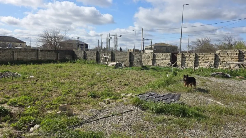 Satılır Torpaq 45 sot Nardaran - şəkil 2