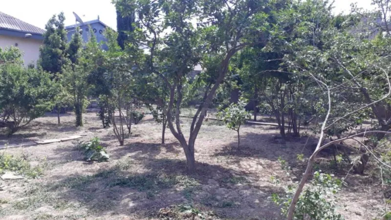 Bakı, Sabunçu r.da torpaq satılır