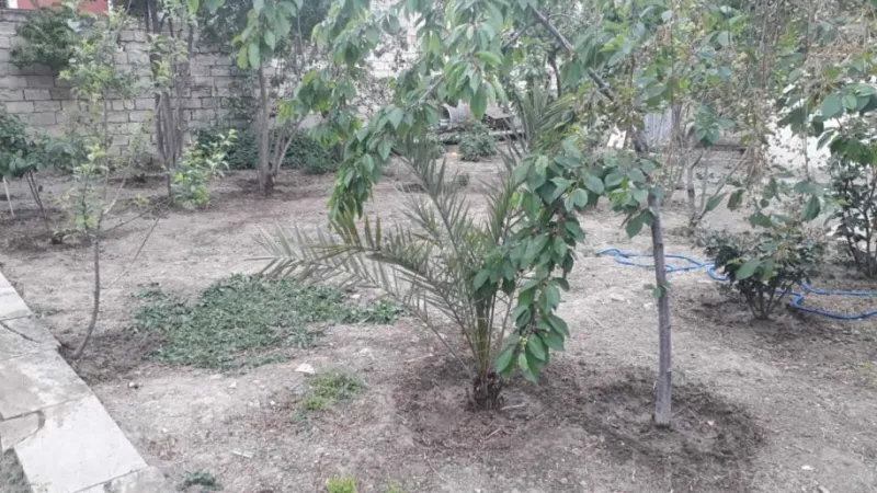 Satılır Torpaq 2.7 sot Sabunçu r. - şəkil 3