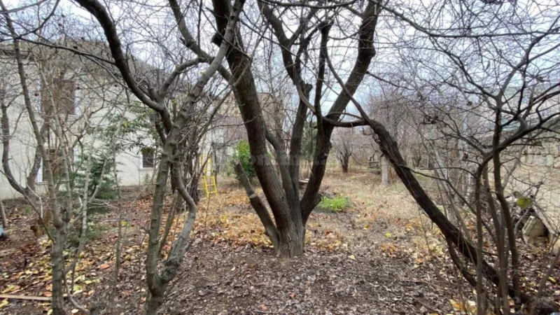 Satılır Torpaq 7 sot Badamdar - şəkil 5