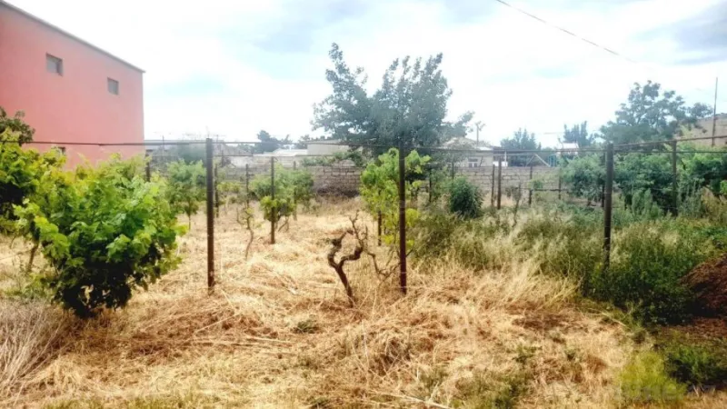 Torpaq Buzovna Satılır