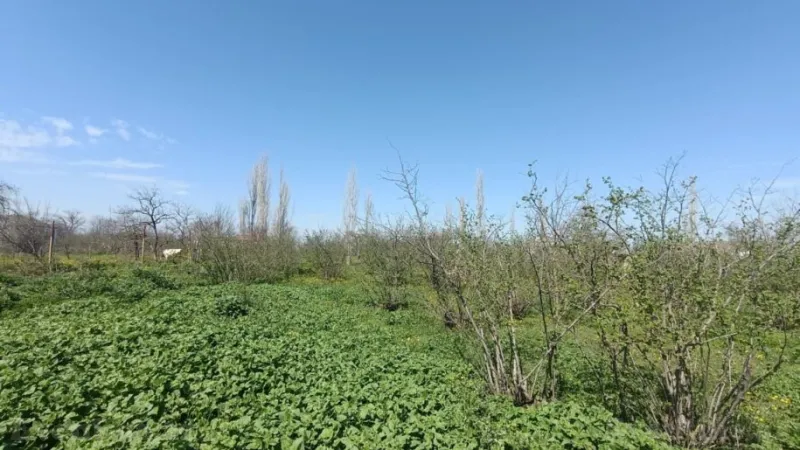 Satılır Torpaq 18.5 sot Xaçmaz