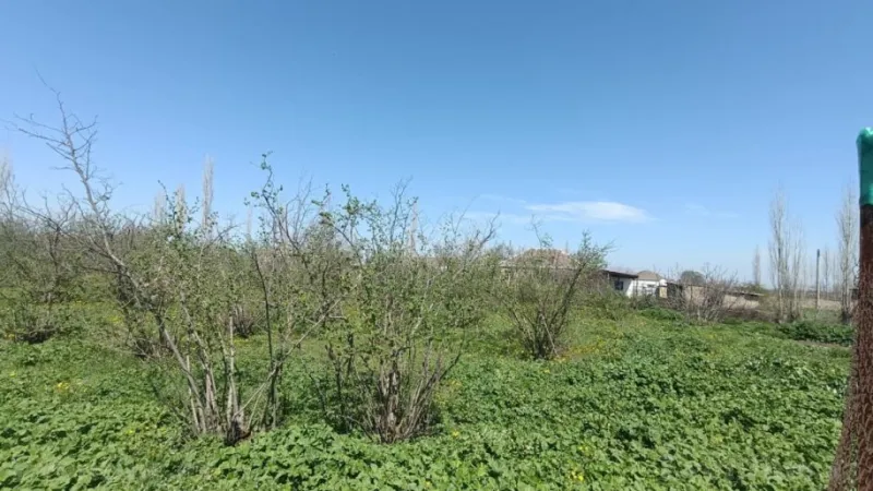 Satılır Torpaq 18.5 sot Xaçmaz - şəkil 3