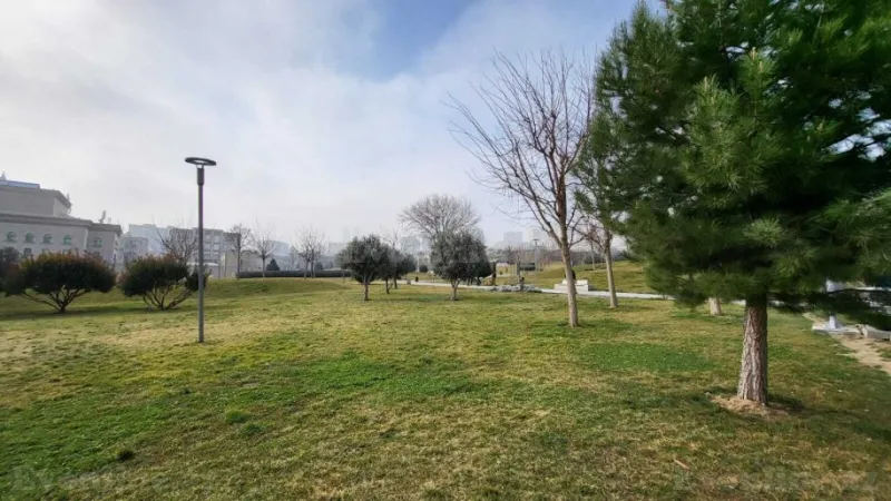 Kirayə verilir Obyekt 220 m² Nizami m. - şəkil 5