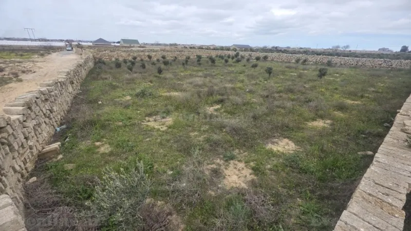 Torpaq Türkan Satılır