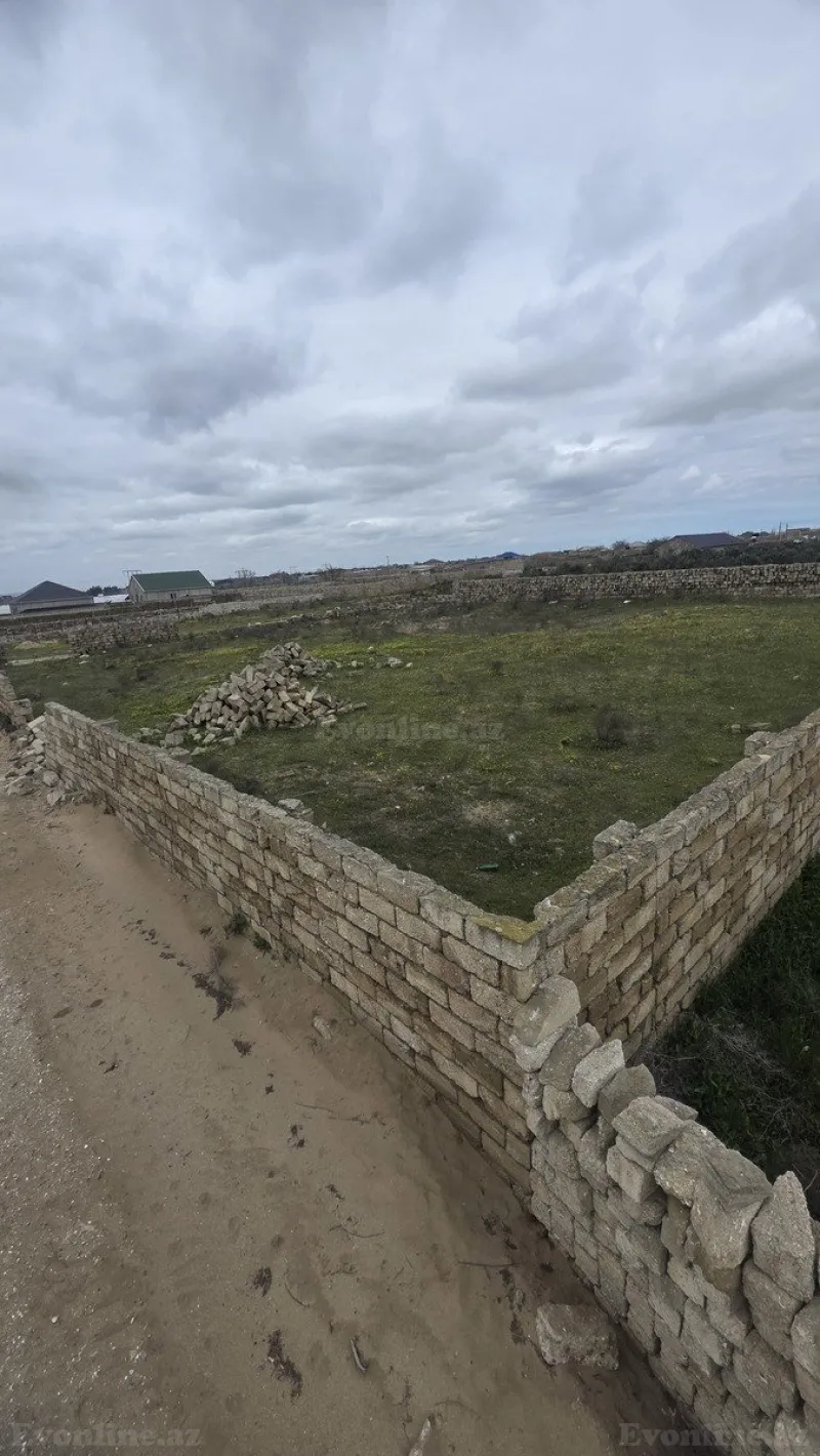 Satılır Torpaq 24 sot Türkan - şəkil 3