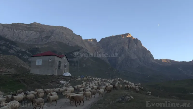 Satılır Torpaq 20 sot Qusar - şəkil 2