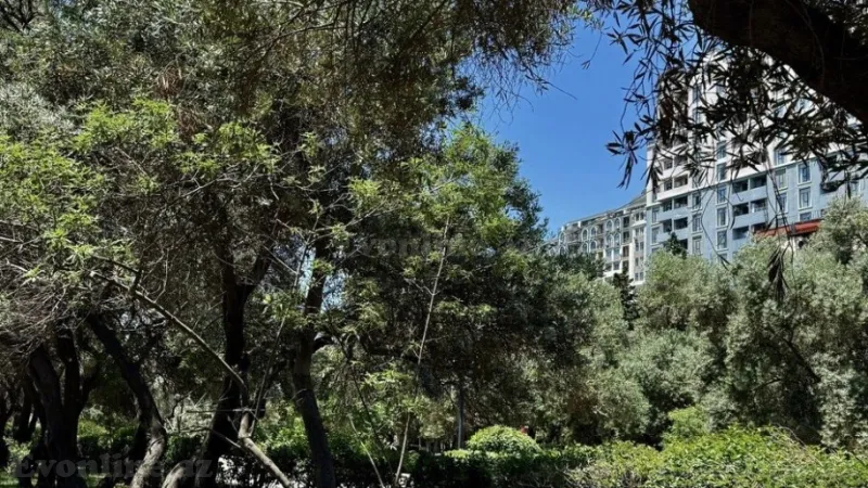 Satılır Qaraj 20 m² 8-ci kilometr - şəkil 4