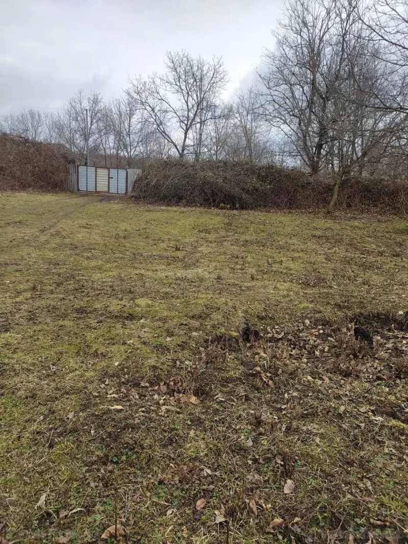 Satılır Torpaq 6 sot Qəbələ - şəkil 2