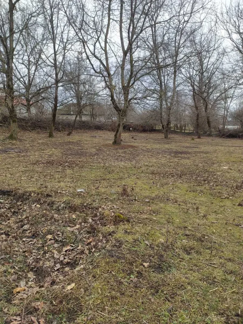 Satılır Torpaq 6 sot Qəbələ - şəkil 3