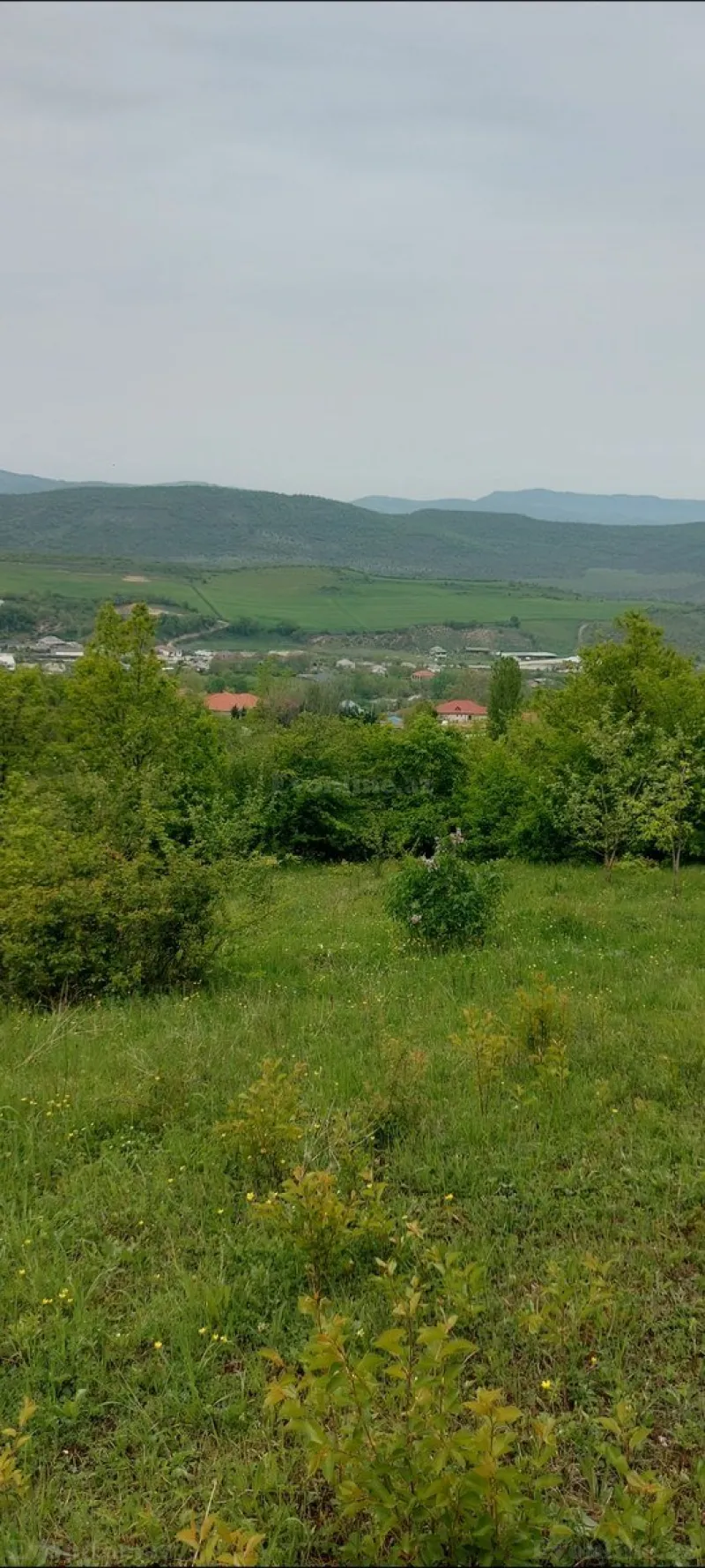 Satılır Torpaq 15 sot Şabran