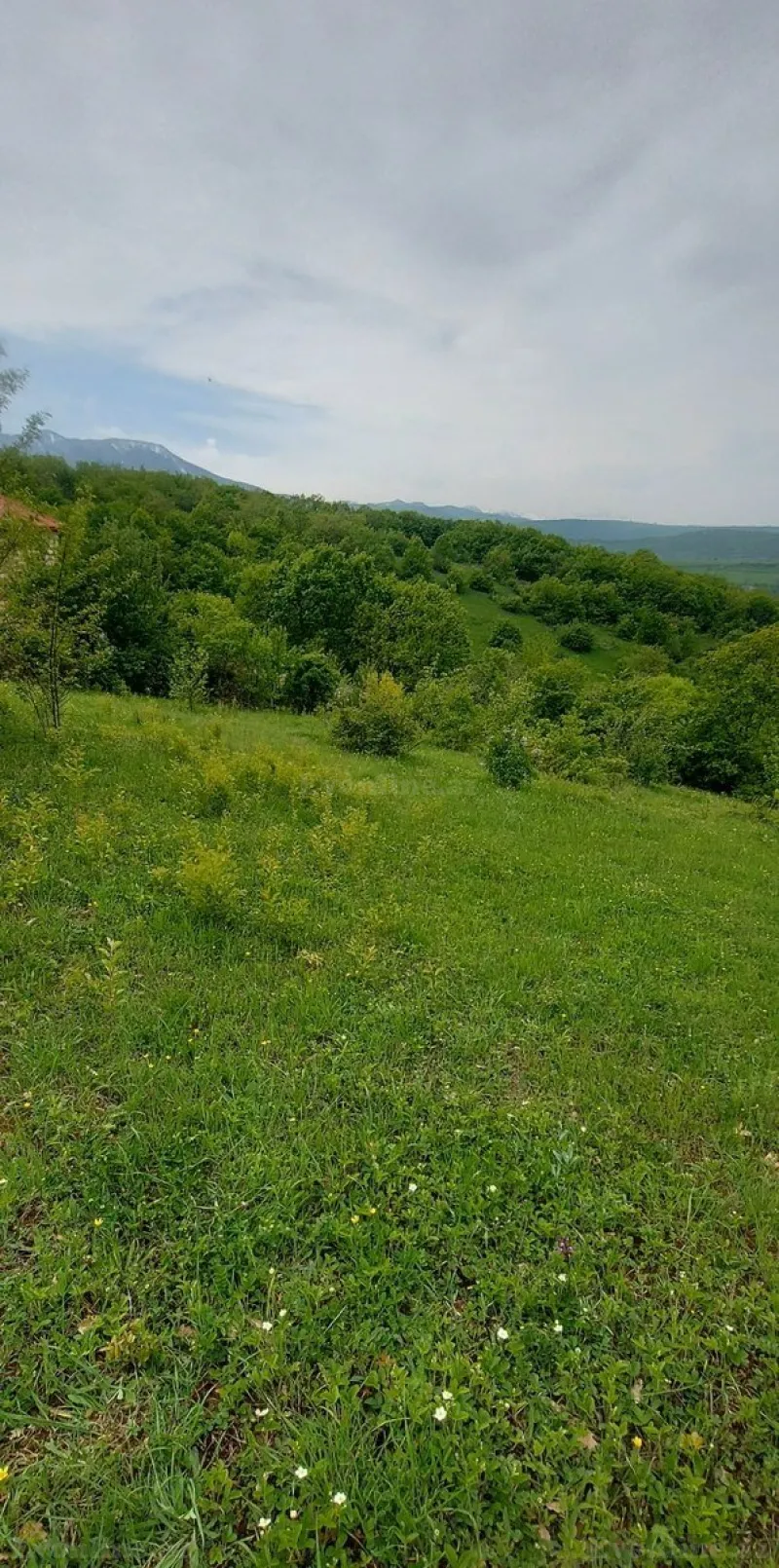 Satılır Torpaq 15 sot Şabran - şəkil 2