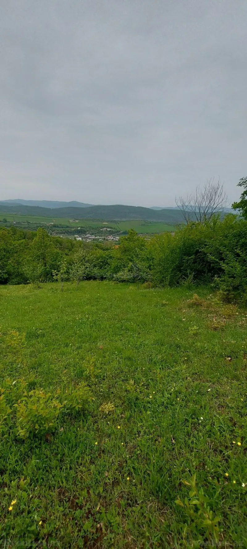 Satılır Torpaq 15 sot Şabran - şəkil 3