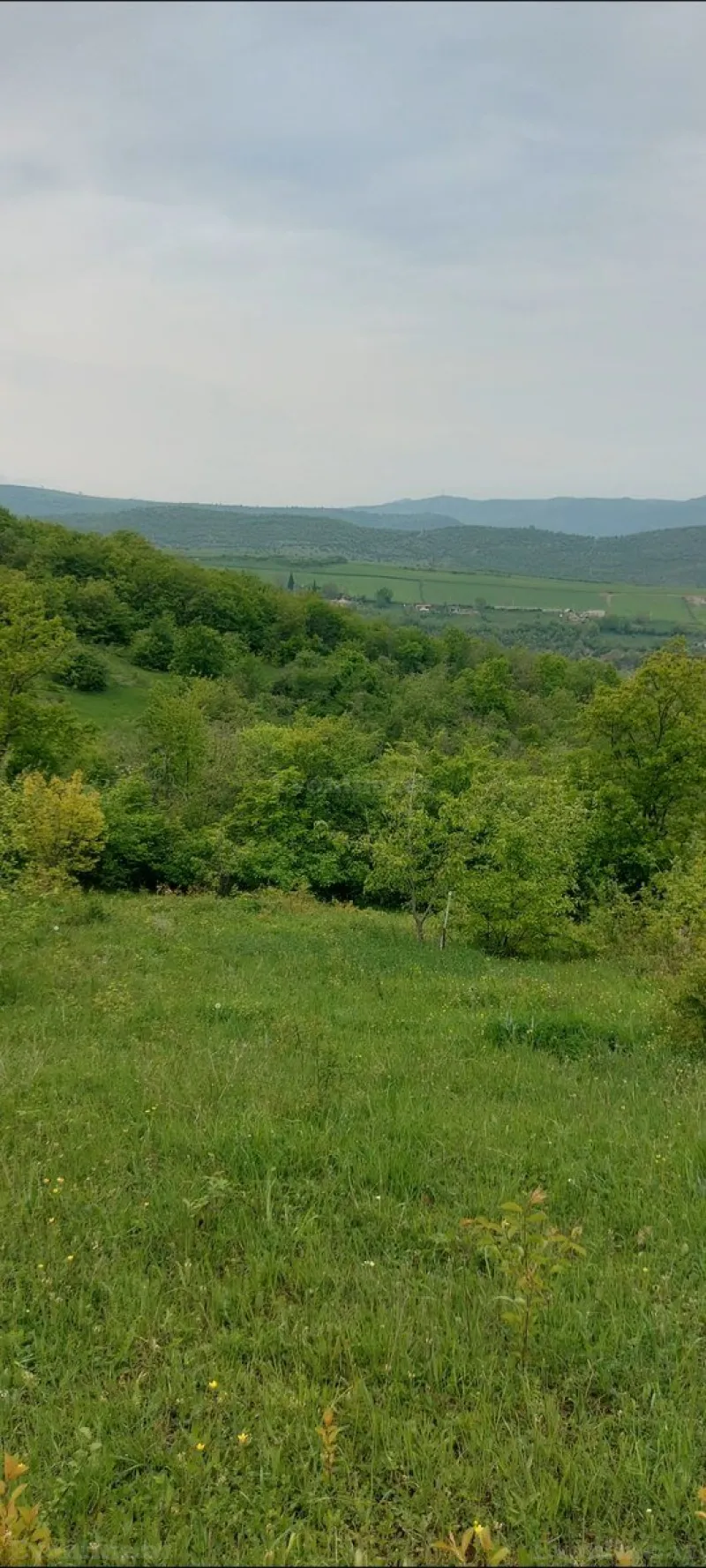 Satılır Torpaq 15 sot Şabran - şəkil 4