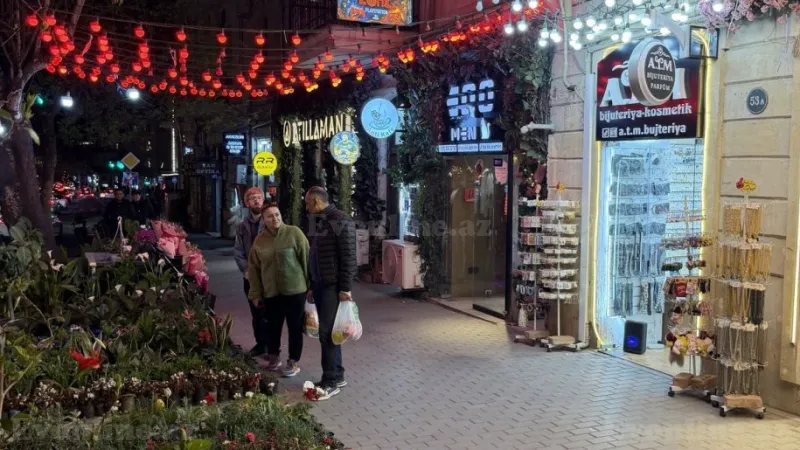 Kirayə verilir Obyekt 140 m² 28 May m.