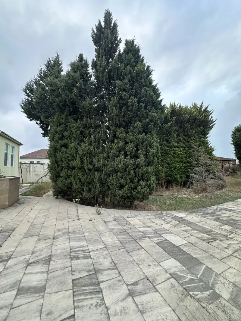 Satılır Torpaq 16 sot Novxanı - şəkil 3