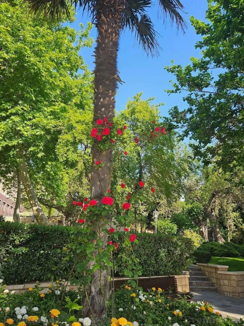 Satılır 2 otaqlı Mənzil Yeni tikili 64 m² Nizami m. - şəkil 17