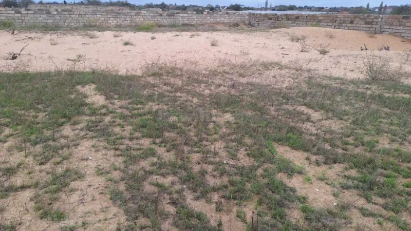 Satılır Torpaq 6 sot Nardaran - şəkil 6