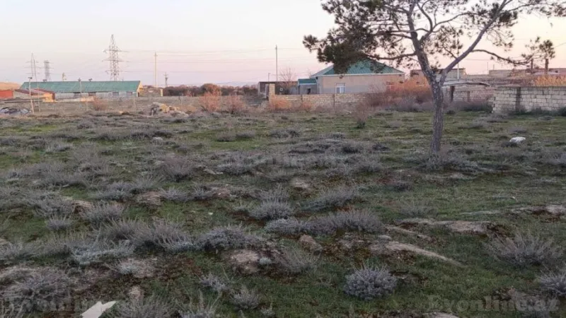 Satılır Torpaq 10 sot Pirşağı - şəkil 3