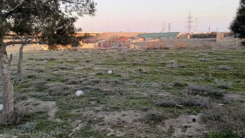 Satılır Torpaq 10 sot Pirşağı - şəkil 4