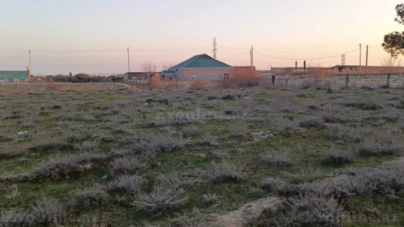 Satılır Torpaq 10 sot Pirşağı - şəkil 5