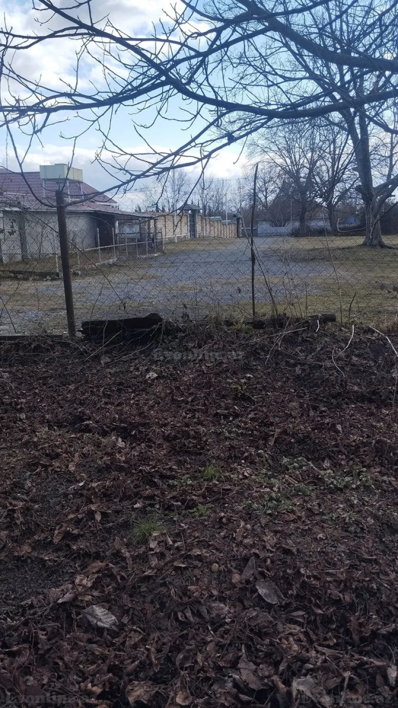 Satılır Torpaq 30 sot Qəbələ