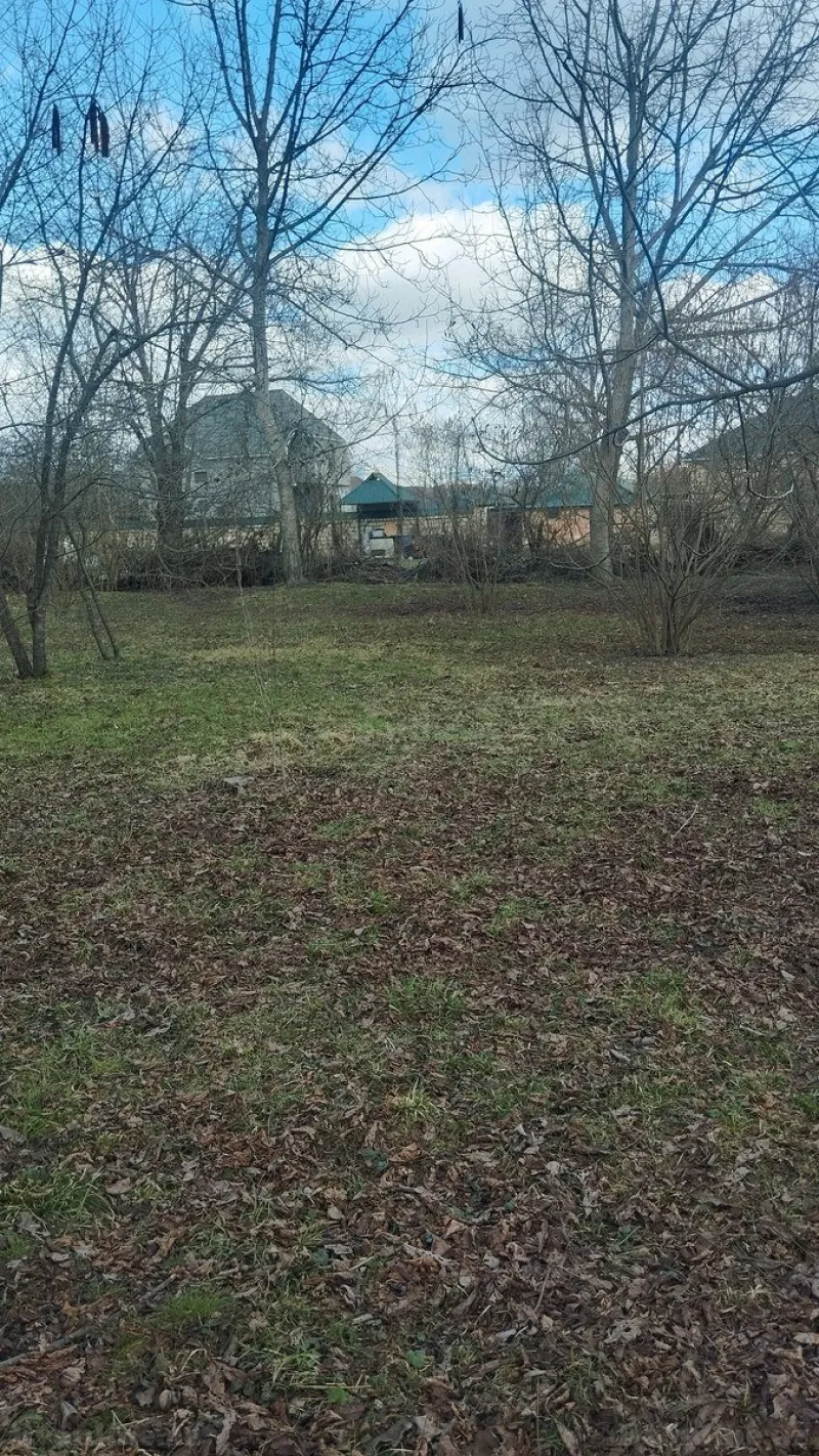 Satılır Torpaq 30 sot Qəbələ - şəkil 3