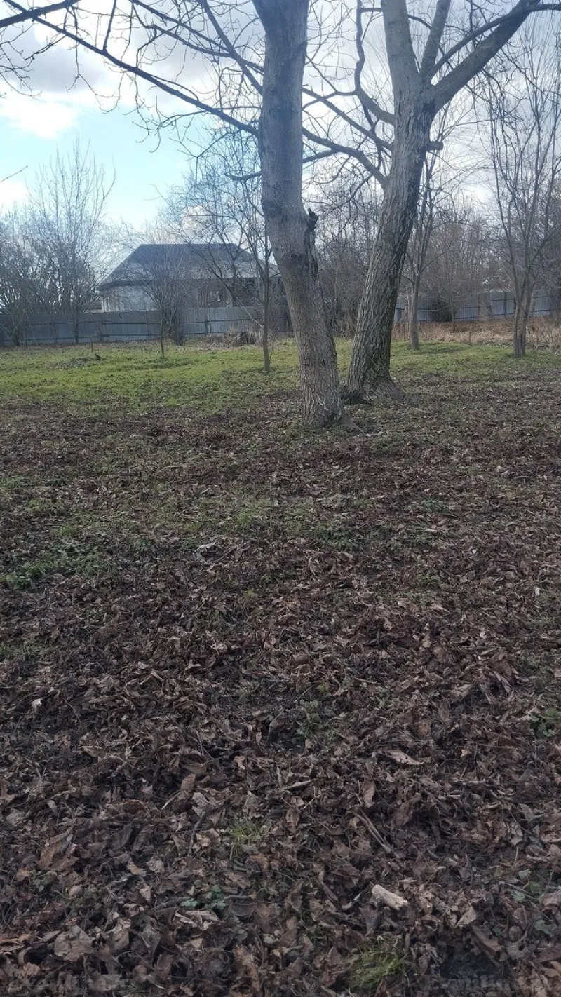 Satılır Torpaq 30 sot Qəbələ - şəkil 4