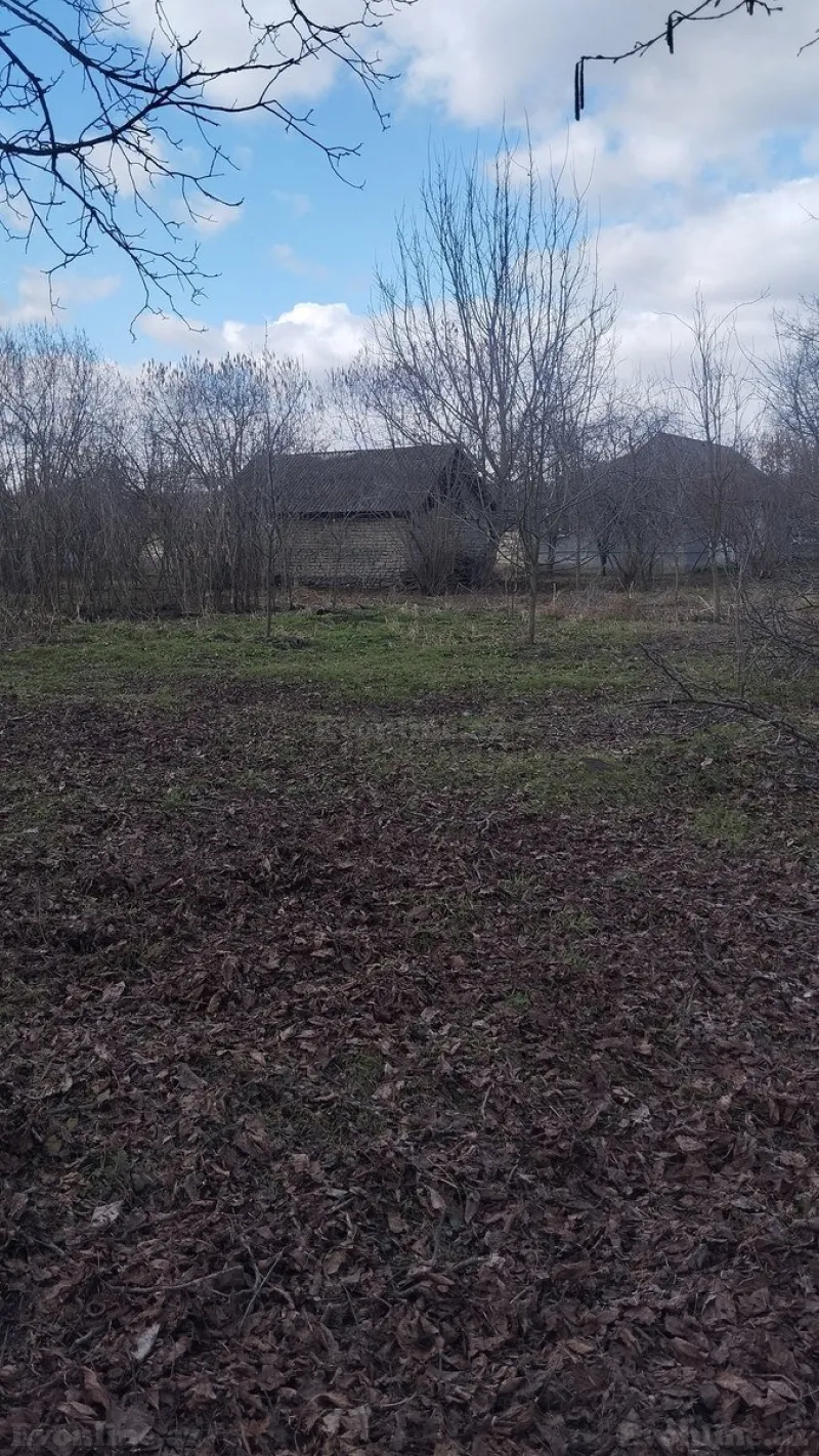 Satılır Torpaq 30 sot Qəbələ - şəkil 5