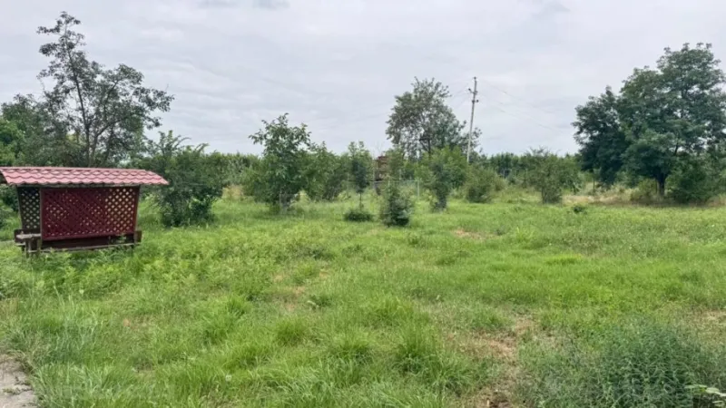 Satılır Obyekt 1000 m² Quba - şəkil 9