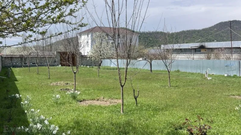 Satılır Torpaq 24 sot Qəbələ - şəkil 3