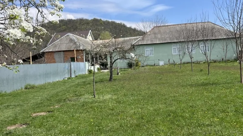 Satılır Torpaq 24 sot Qəbələ - şəkil 4