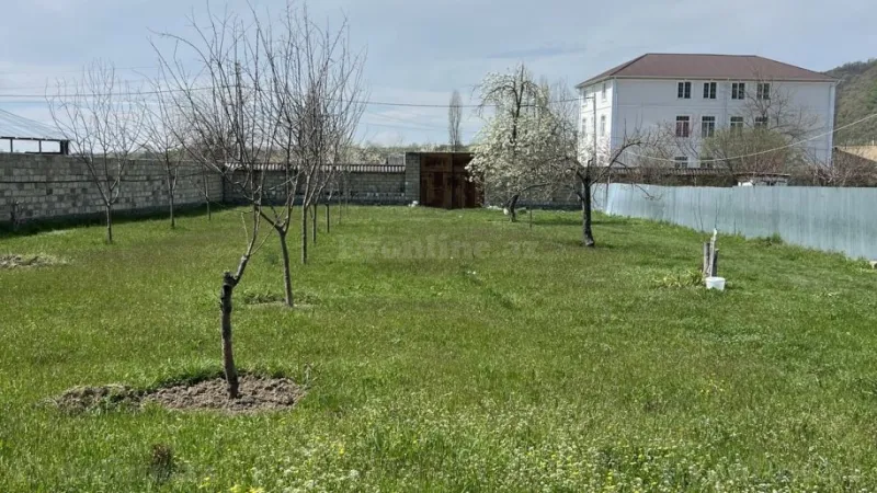 Satılır Torpaq 24 sot Qəbələ - şəkil 5