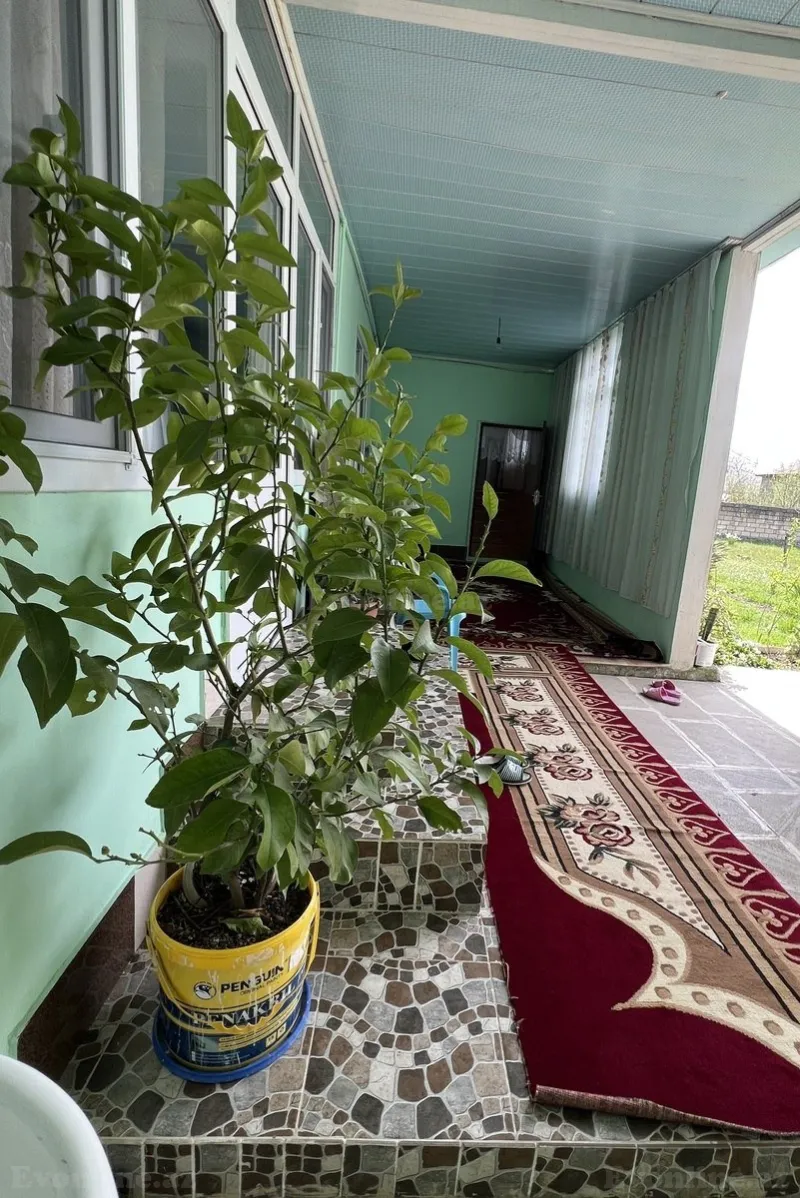 Satılır Torpaq 24 sot Qəbələ - şəkil 11