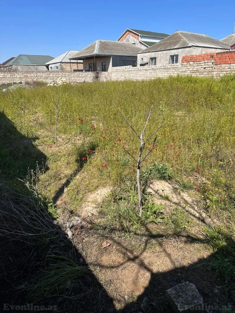 Satılır Torpaq 6 sot Maştağa - şəkil 4