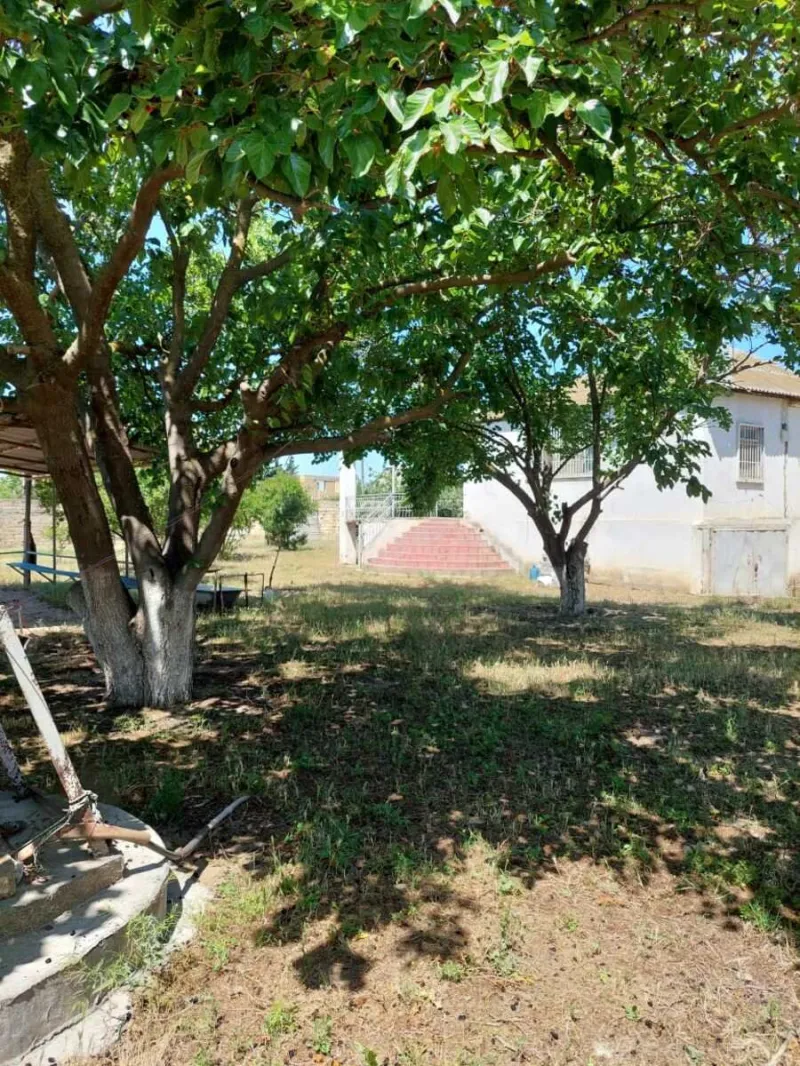 Satılır Torpaq 16 sot Novxanı - şəkil 13