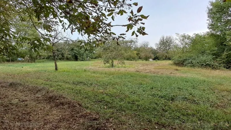 Satılır Torpaq 25 sot Qəbələ - şəkil 2