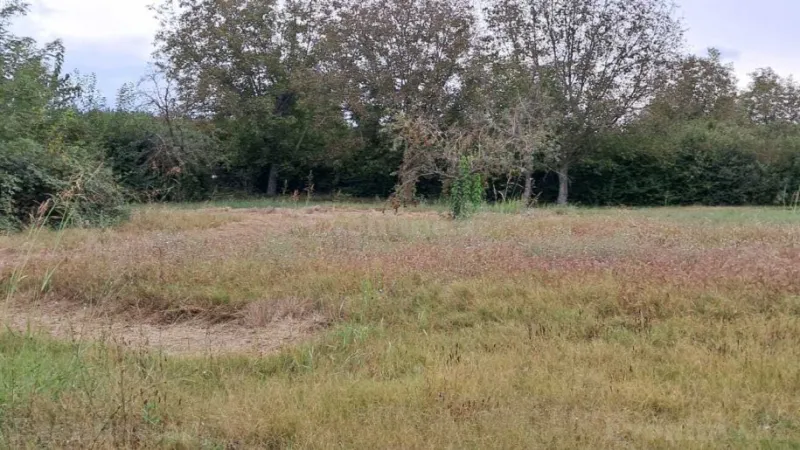 Satılır Torpaq 25 sot Qəbələ - şəkil 5