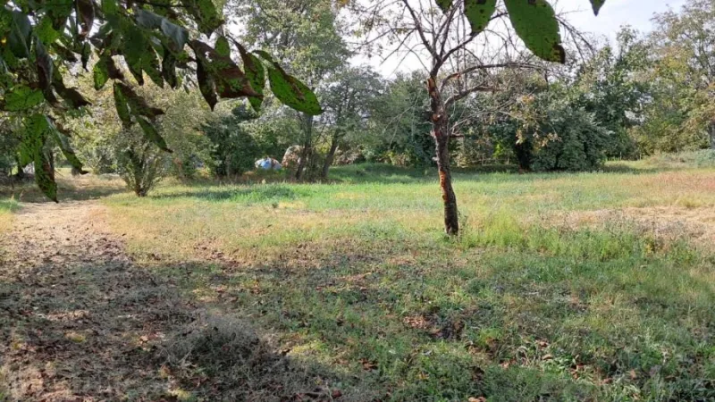 Satılır Torpaq 25 sot Qəbələ - şəkil 6