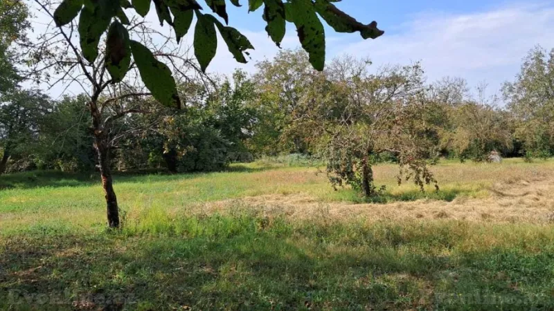 Satılır Torpaq 25 sot Qəbələ - şəkil 8