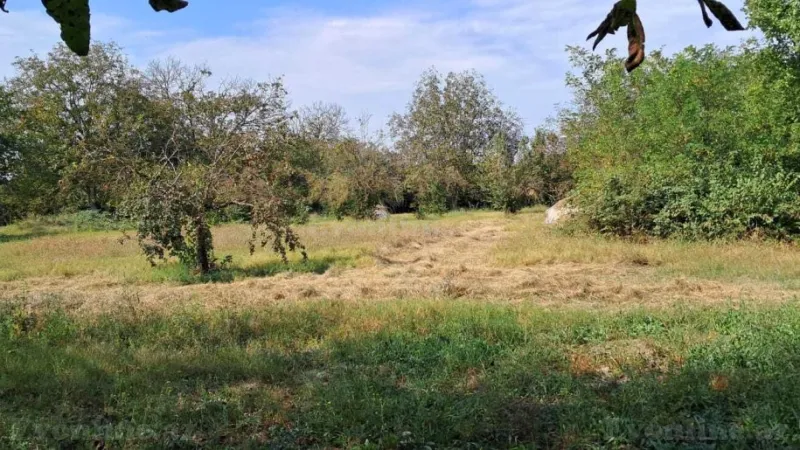 Satılır Torpaq 25 sot Qəbələ - şəkil 9