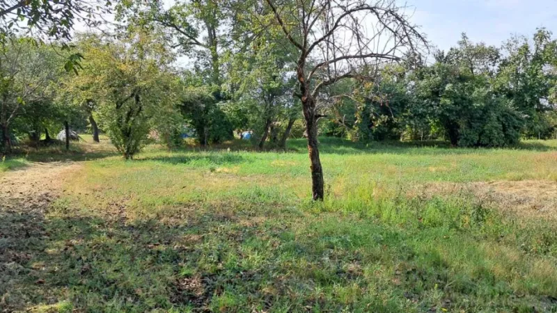 Satılır Torpaq 25 sot Qəbələ - şəkil 10