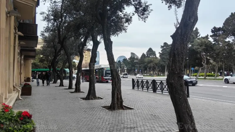 Satılır 3 otaqlı Mənzil Köhnə tikili 126 m² Sahil m. - şəkil 28