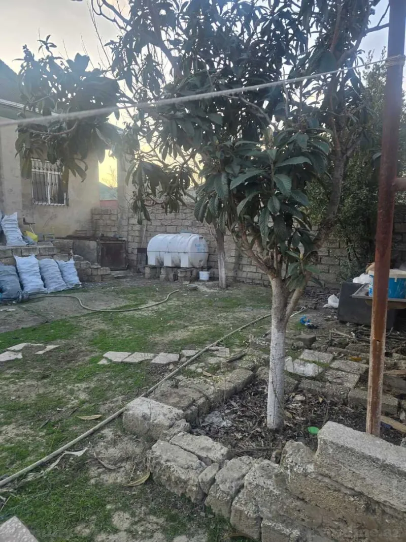 Satılır Torpaq 16 sot Savalan - şəkil 5