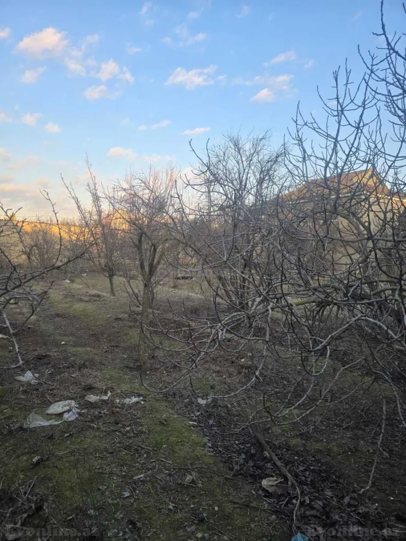 Satılır Torpaq 16 sot Savalan - şəkil 8