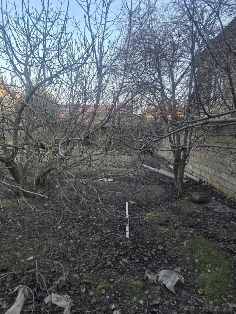 Satılır Torpaq 16 sot Savalan - şəkil 10