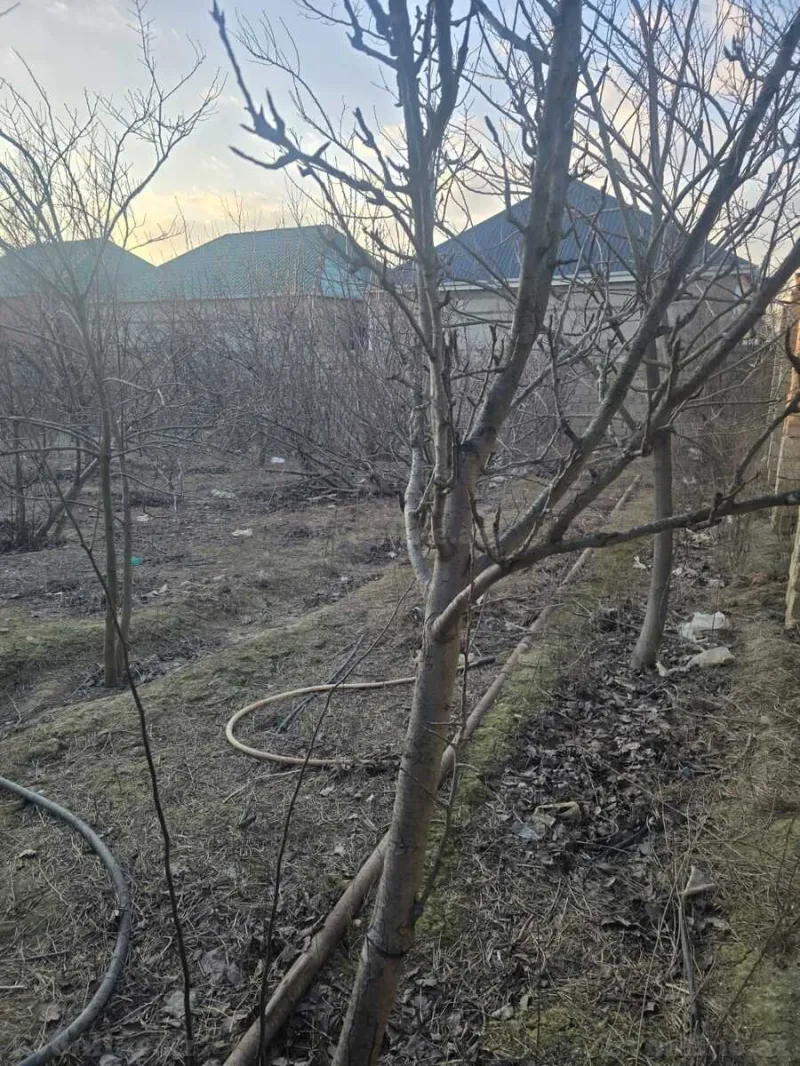 Satılır Torpaq 16 sot Savalan - şəkil 20