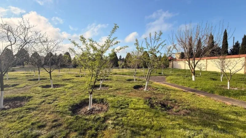 Torpaq Xəzər r. Satılır