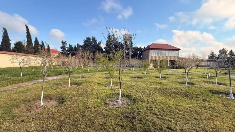 Satılır Torpaq 30 sot Xəzər r. - şəkil 3