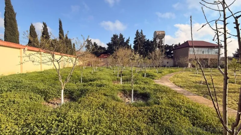 Satılır Torpaq 30 sot Xəzər r. - şəkil 4